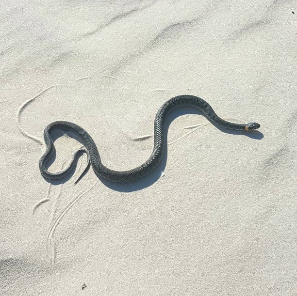 istock Love in the sand 863114176