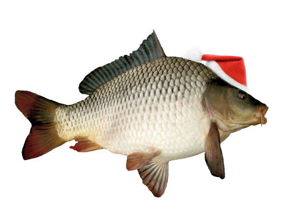 istock Santa hat on christmas carp 863120346