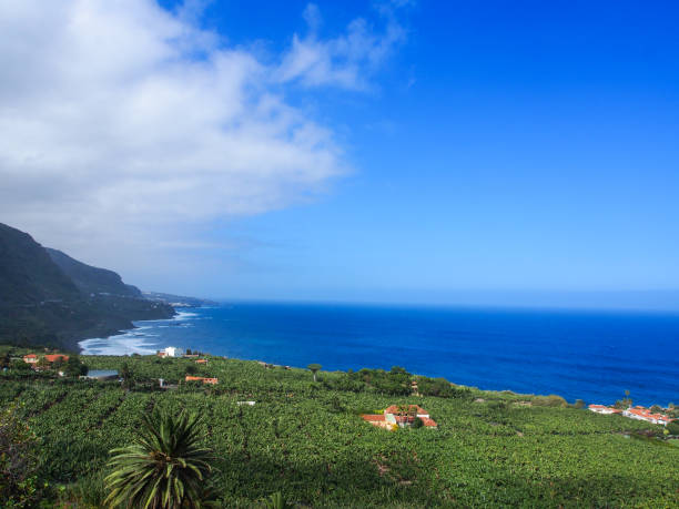 istock Mountainous Landscape of Tenerife 863120540