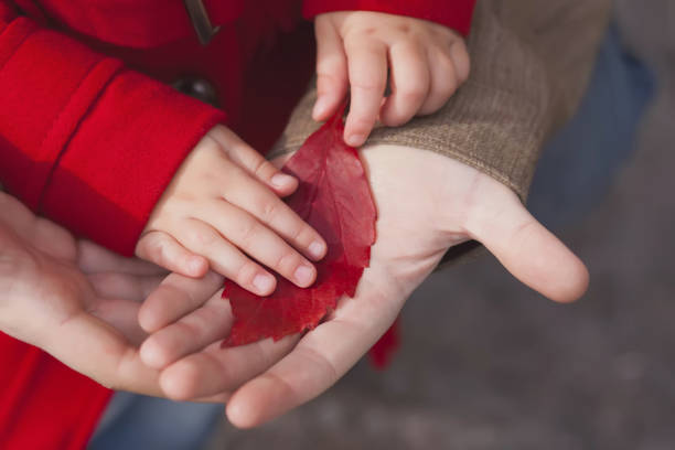 Red autumn leave in father and daughter hands, fall outdoors, closeup photo, dad and child relationships.