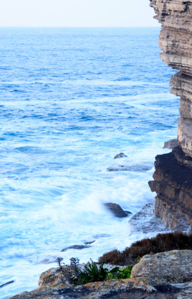 istock cliffs and beaches of cantabria  asturias 863123332