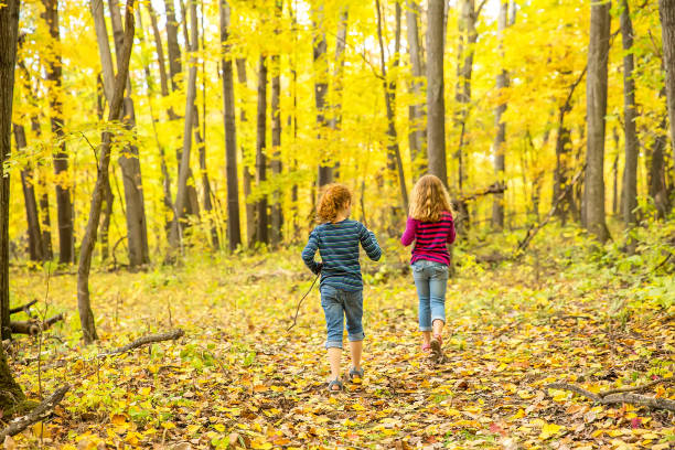Rear view of two young girls (sisters) walking through the woods on an autumn day in Minnesota, USA. There are leaves covering the ground, and the leaves still on the trees are bright yellow.