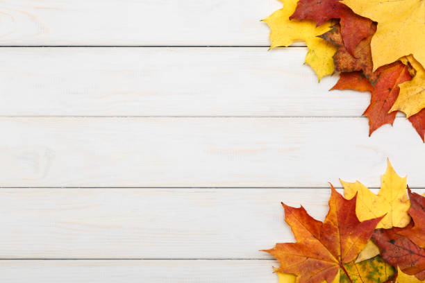 istock Colorful autumn maple leaves lying on a white wooden background 863128650