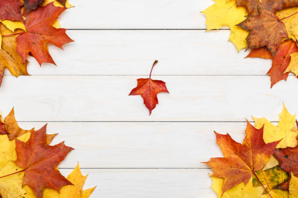 istock Autumn maple leaves lying on white wooden background 863128820