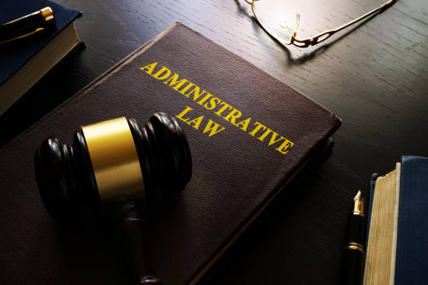 istock Administrative law and gavel on a table. 863132714