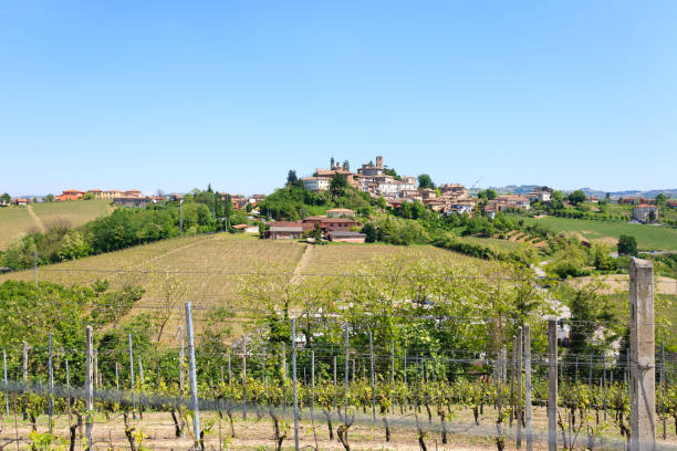 istock Landscape with vineyards from Langhe,Italian agriculture 863132814