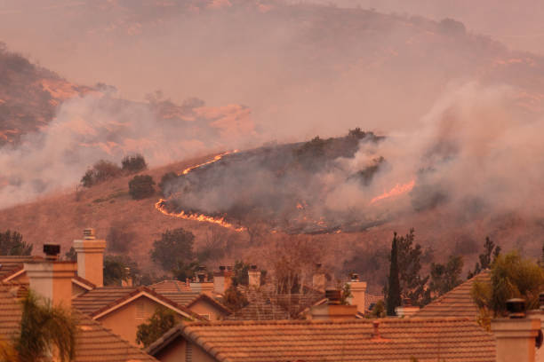 A view of the spreading flames from the Canyon Fire 2 wildfire in Anaheim Hills and the City of Orange A view of the spreading flames from the Canyon Fire 2 wildfire in Anaheim Hills and the City of Orange forest fire photos stock pictures, royalty-free photos & images