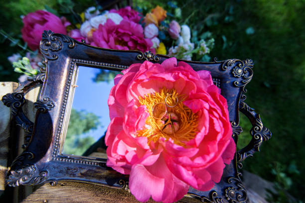 wedding rings on a flower. amazing wedding design idea. wedding ceremony beginning. - bentham imagens e fotografias de stock