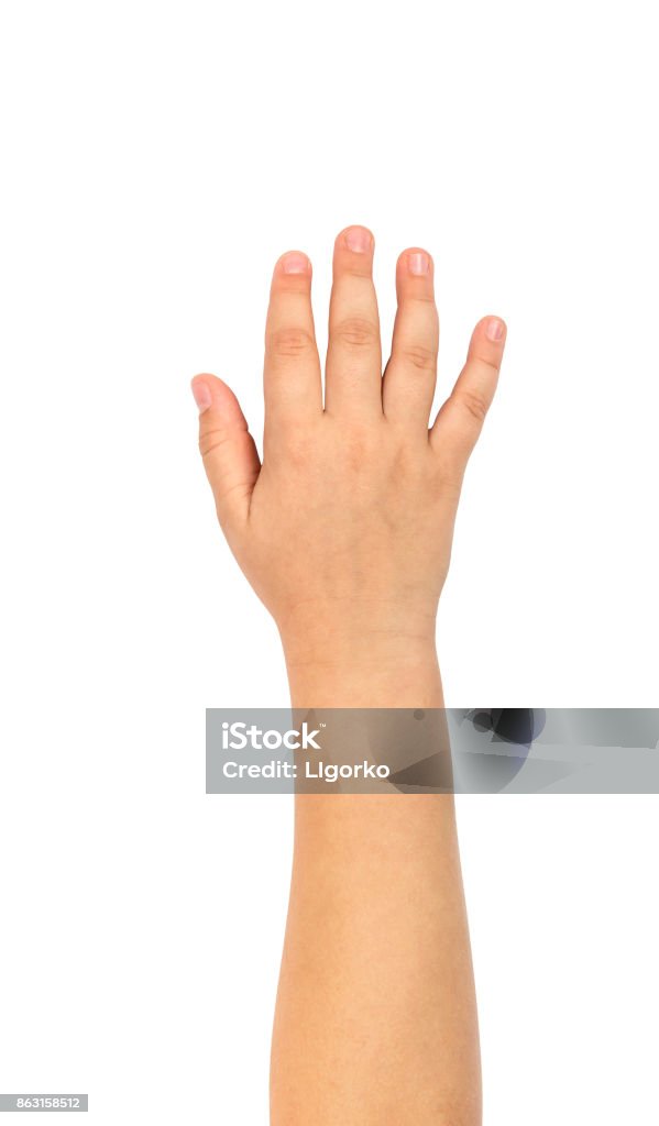 Child's hand isolated on a white background. Child Stock Photo