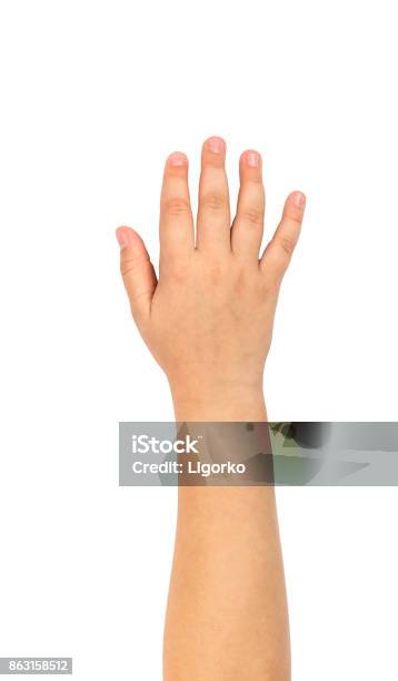 Childs Hand Isolated On A White Background Stock Photo - Download Image Now - Child, Hand, Arm