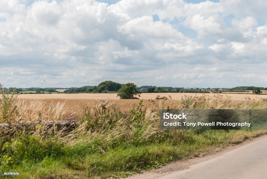 English hay field with road Agricultural Field Stock Photo