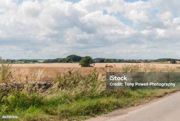 English Hay Field With Road Stock Photo - Download Image Now - Agricultural Field, Agriculture, Autumn