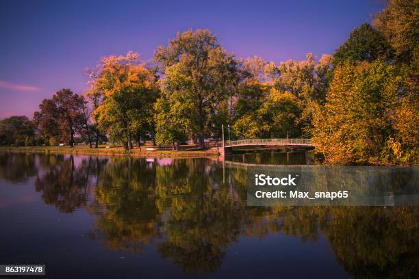 View Of Stewart Park During Fall Stock Photo - Download Image Now - New York State, Cayuga Lake, Autumn