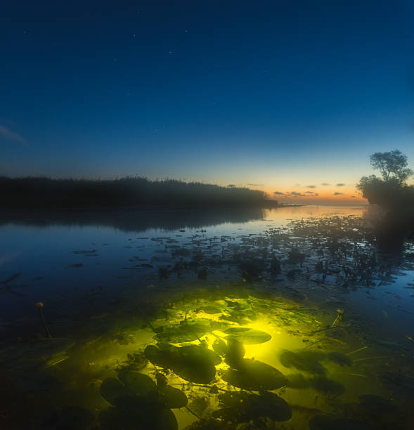 istock night landscape on the river luminous water 863224336