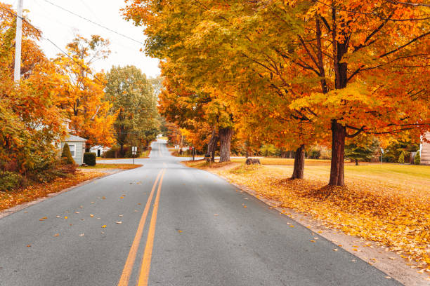 istock Autumnal road in new hampshire 863235132