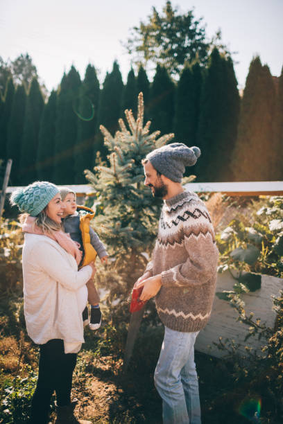 istock Family in a Christmas tree quest 863237538