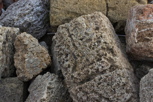 istock texture Rakushnjak or coquina 863237674