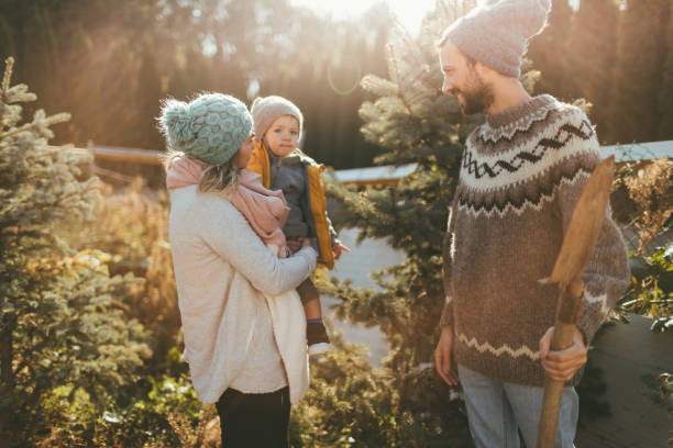 istock We have picked up our Christmas tree 863239856