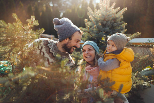 istock Carrying our Christmas tree home 863239928
