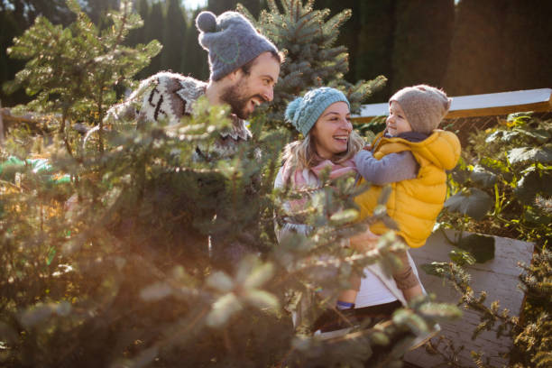 istock Carrying our Christmas tree home 863240076