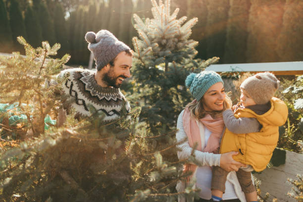 istock Carrying our Christmas tree home 863240084