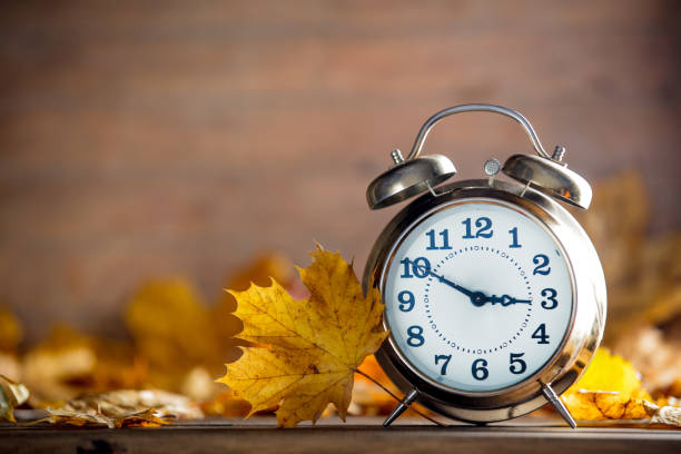 istock Vintage alarm clock and maple tree leaves 863270080