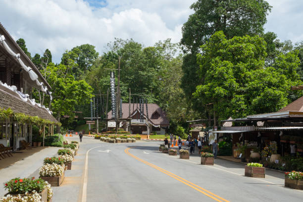 Mae Fah Luang flower garden stock photo