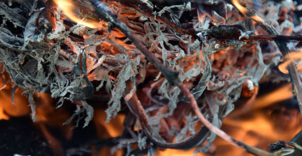 istock Dry branches, deadwood and logs burning in the fireplace 863278742