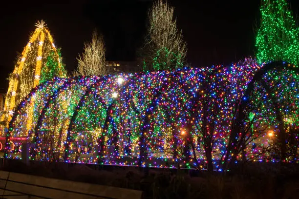 Photo of Christmas light tunnel