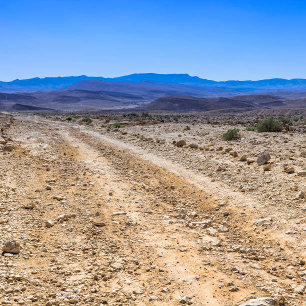 istock Negev Desert in Israel. 863318210