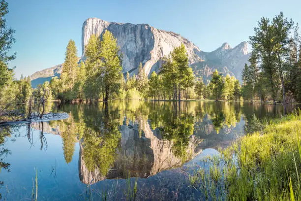 El Capitan Reflected in Merced River, Yosemite National Park