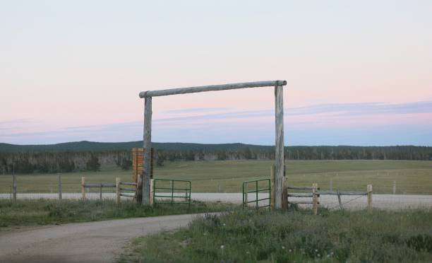 Wyoming dirt road leading to a rural wooden fence entry. Beautiful greenery and sunset.