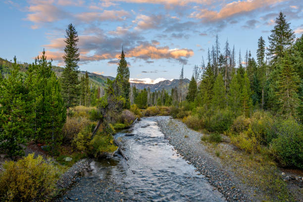 An autumn sunset view of Middle Fork Elk River flowing through Rocky Mountains in Routt National Forest, near Steamboat Springs, Colorado, USA. Sunset Mountain Creek steamboat springs photos stock pictures, royalty-free photos & images