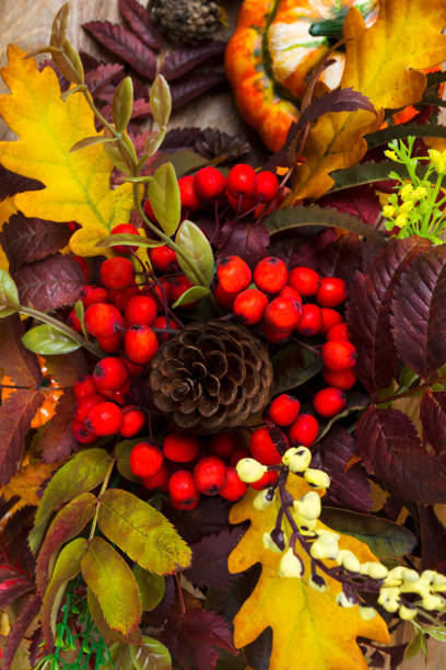 istock Fall decoration with cones, rowan berries and oak leaves 863337348