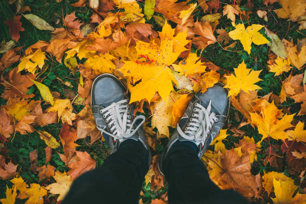istock Young man standing in sneakers on ground with autumn leaves 863348668