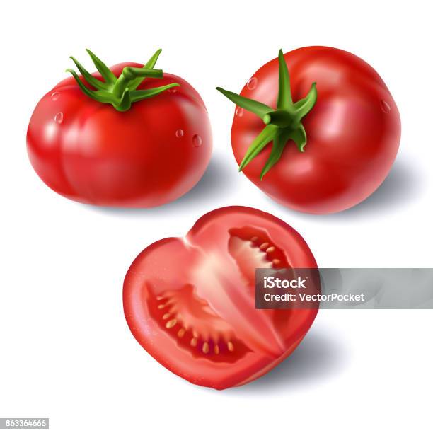 Ensemble De Vecteurs Réaliste Pleine Et En Tranches Les Tomates Vecteurs libres de droits et plus d'images vectorielles de Tomate