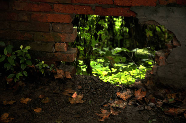 istock Beauty in nature 863425250