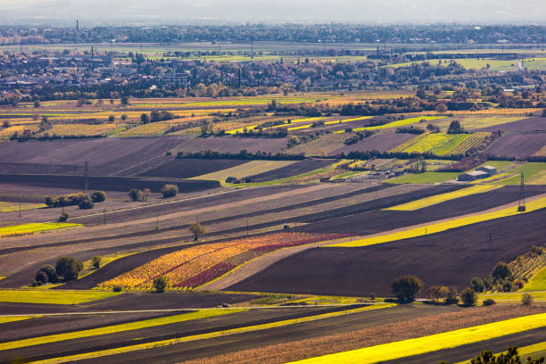 colorful agricultural landscape in autumn time