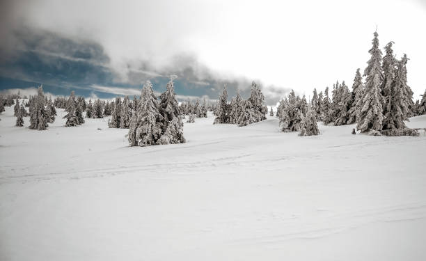 istock winter mountain landscape with snow, small trees and blue sky with clouds 863450286