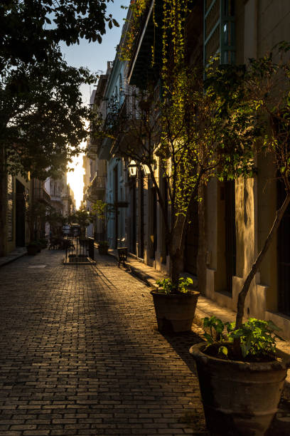 istock Street at the sunset 863454086