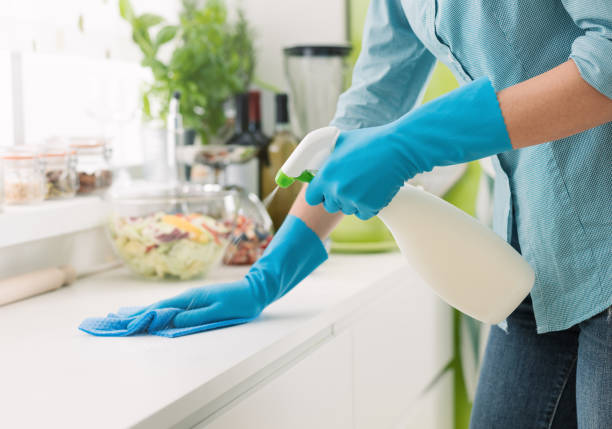 woman cleaning with a spray detergent - cleaning imagens e fotografias de stock