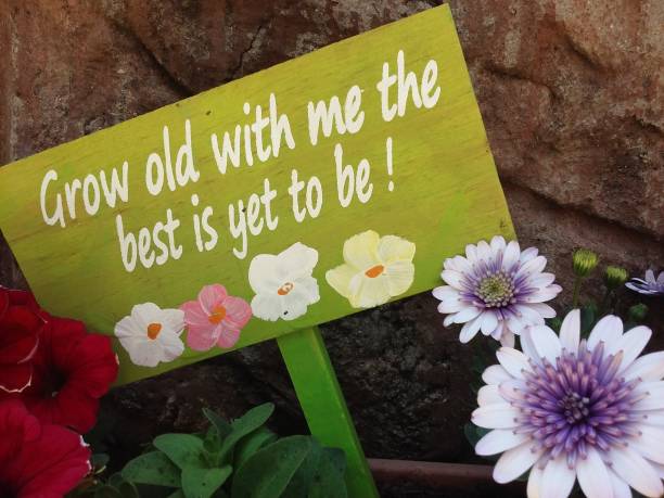 istock Lime Green Garden Decor Amongst Daisies 863476920