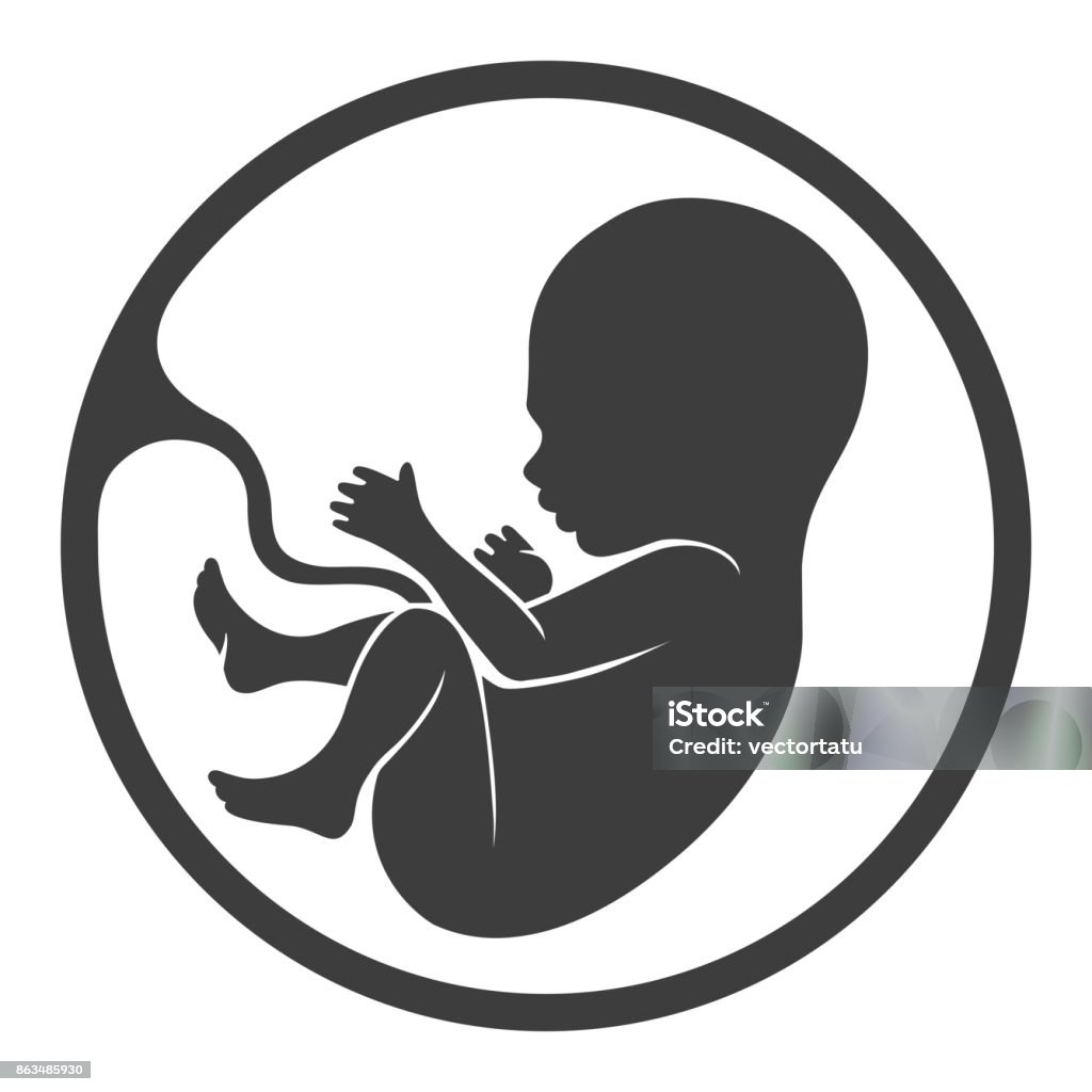 Prenatal human child with placenta silhouette Fetus vector icon, prenatal human child with placenta silhouette isolated on white background Fetus stock vector