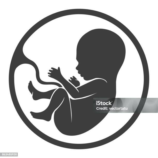 Prenatal Human Child With Placenta Silhouette Stock Illustration - Download Image Now - Fetus, Animal Fetus, Baby - Human Age