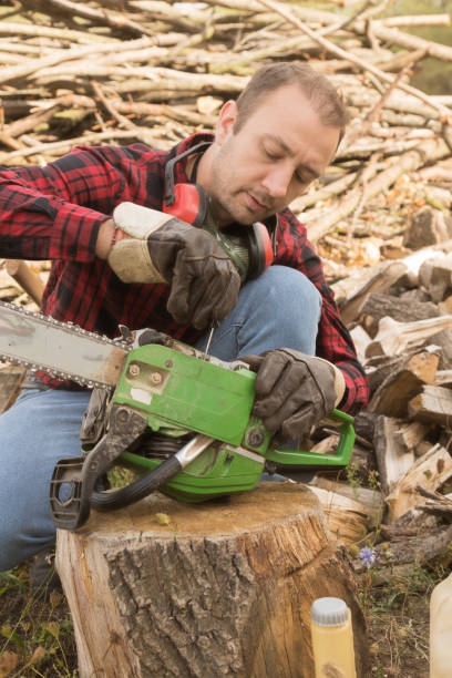 istock Lumberjack preparing to cut some wood for the winter. 863488018