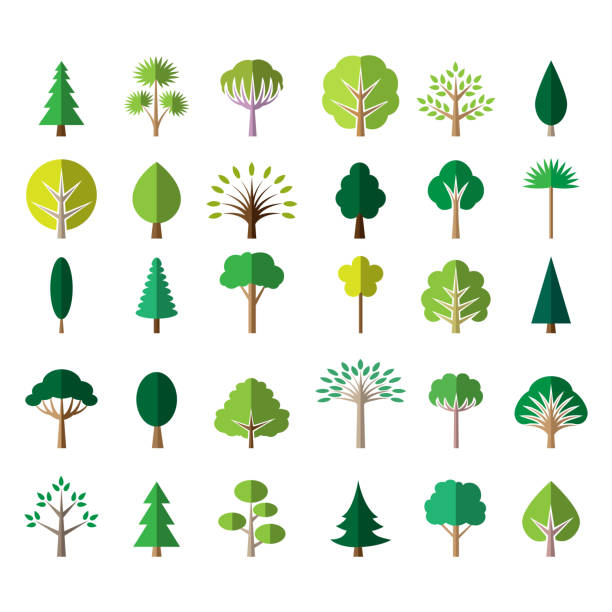 Flat green tree icons Flat tree icons. Pine and palm, oak and ash vector illustration coniferous tree illustrations stock illustrations
