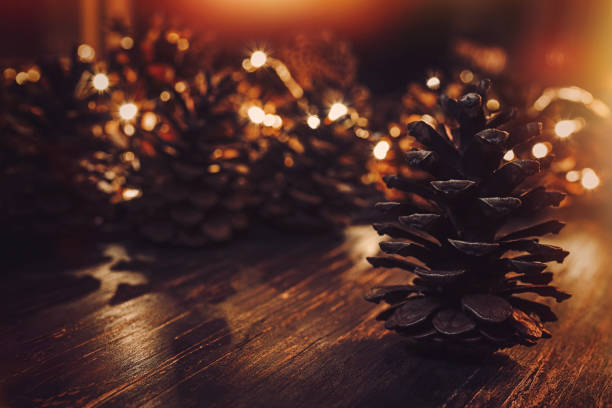 istock Pine cones on a dark background illuminated 863489798