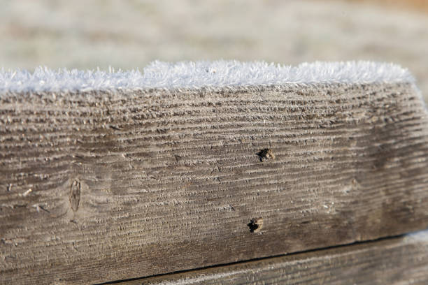 Wooden plank covered with frost closeup outdoors, abstract winter background