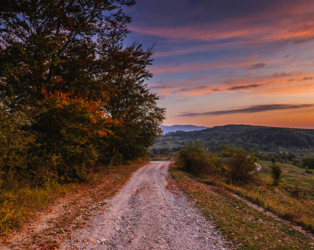 istock Country Road at Dusk 863497520