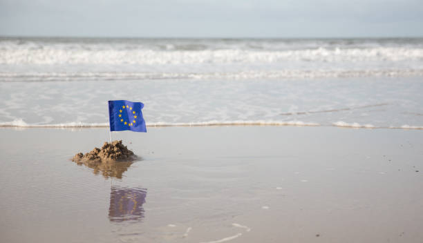 istock EEC Flag flying on a beautiful beach waves in background 863501584